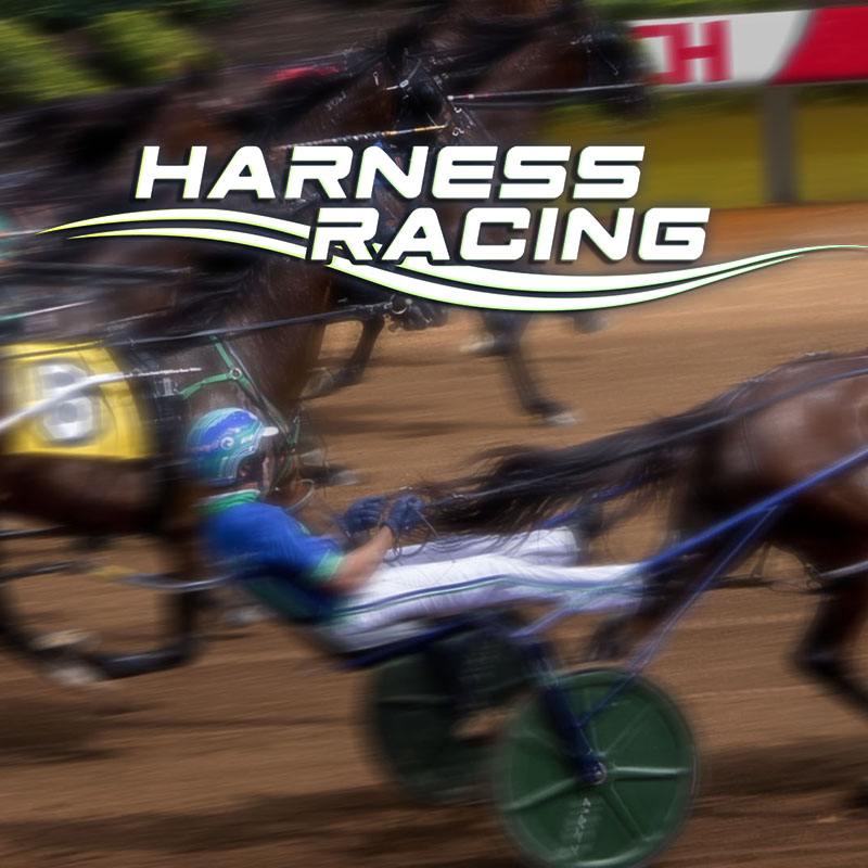 Harness Racing